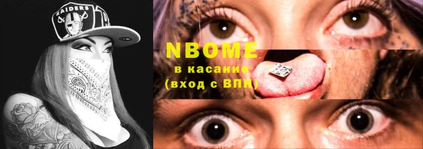 индика Сатка