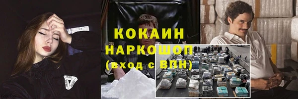 прущие грибы Балахна