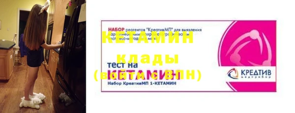 прущие грибы Балахна