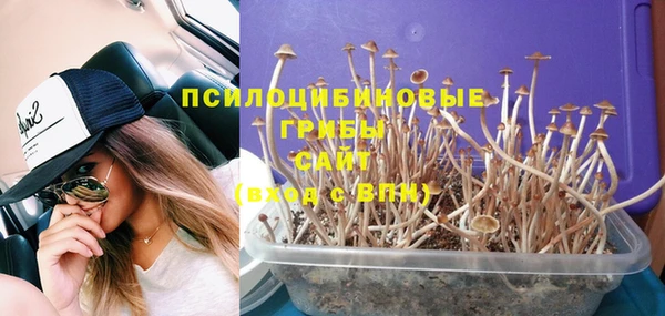хмурый Балабаново