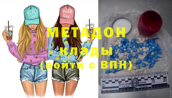 прущие грибы Балахна
