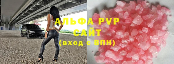 прущие грибы Балахна