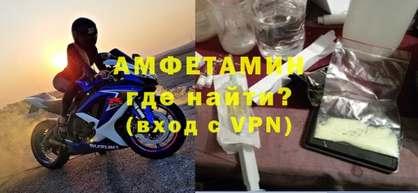индика Сатка