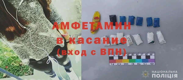 прущие грибы Балахна